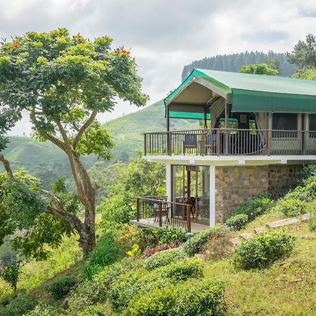 Madulkelle Tea And Eco Lodge Kandy Ngoại thất bức ảnh