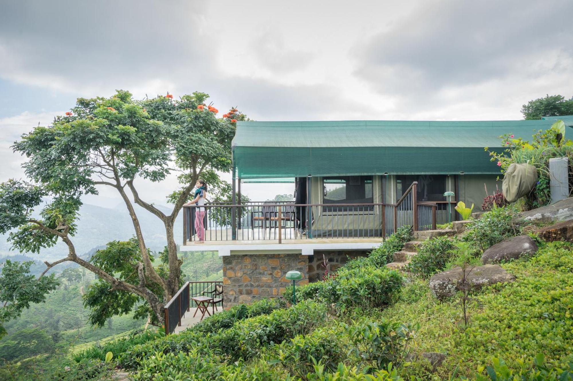 Madulkelle Tea And Eco Lodge Kandy Ngoại thất bức ảnh