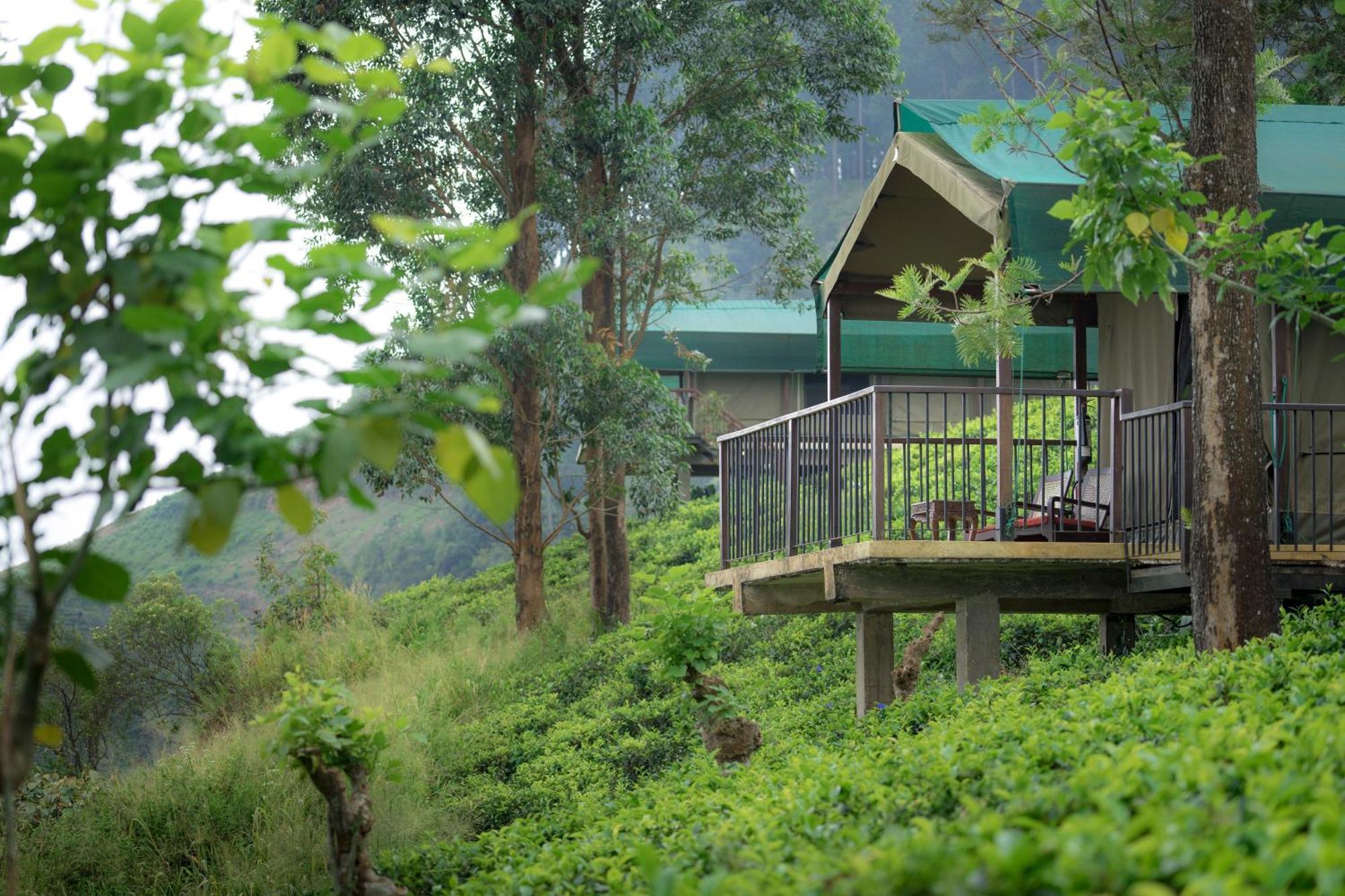 Madulkelle Tea And Eco Lodge Kandy Ngoại thất bức ảnh
