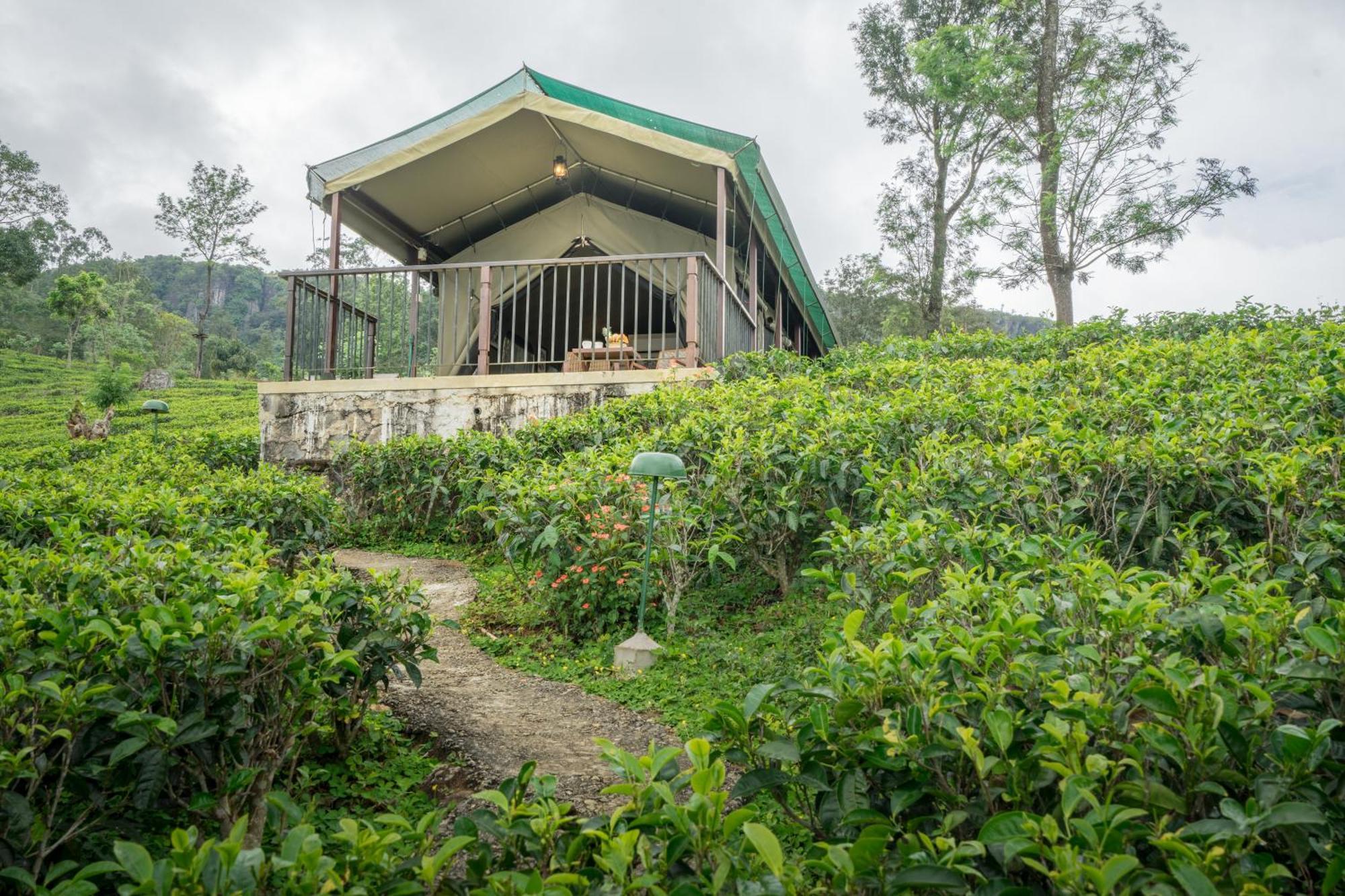 Madulkelle Tea And Eco Lodge Kandy Ngoại thất bức ảnh