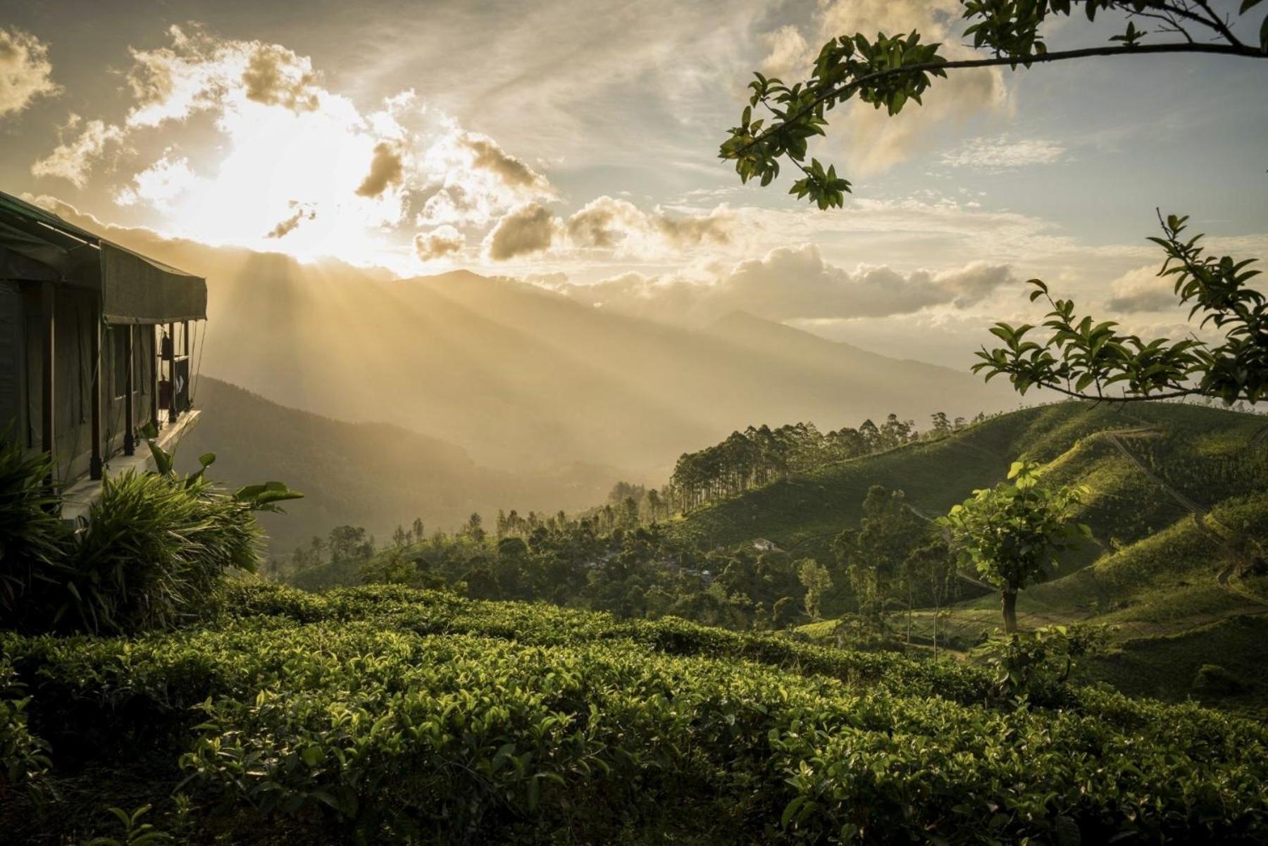 Madulkelle Tea And Eco Lodge Kandy Ngoại thất bức ảnh