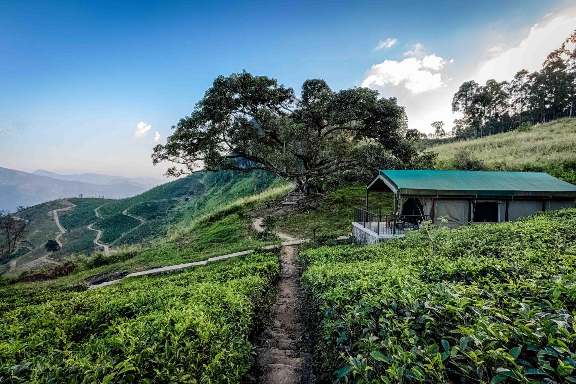 Madulkelle Tea And Eco Lodge Kandy Ngoại thất bức ảnh