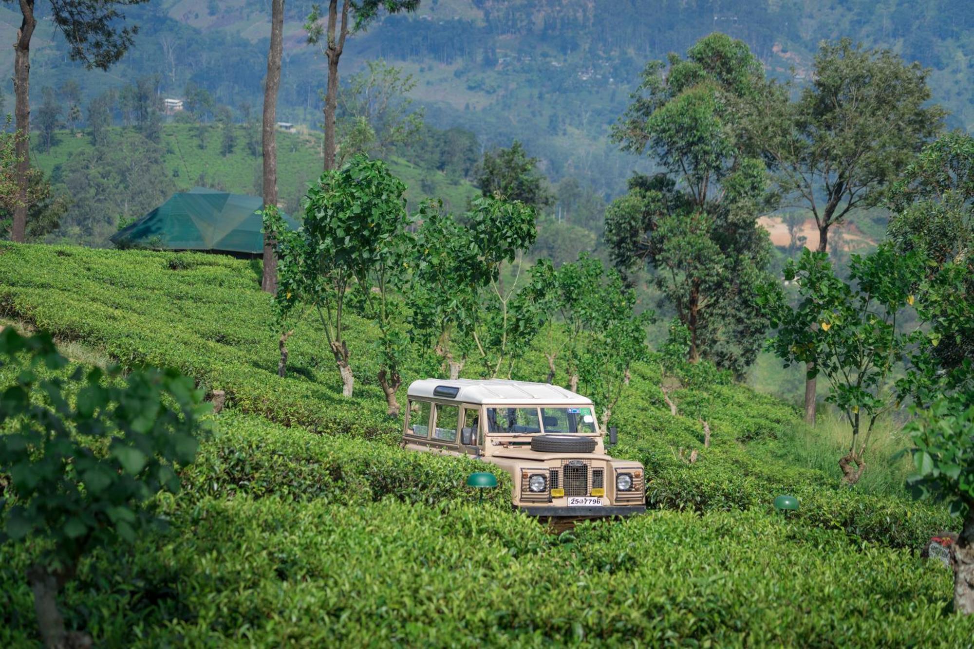Madulkelle Tea And Eco Lodge Kandy Ngoại thất bức ảnh